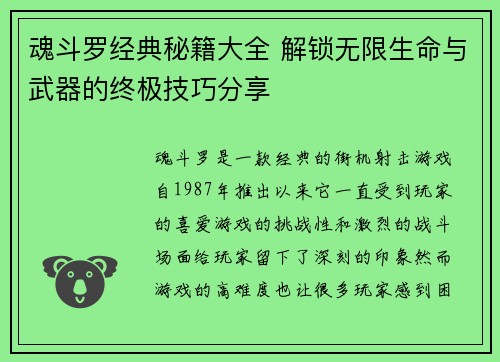 魂斗罗经典秘籍大全 解锁无限生命与武器的终极技巧分享